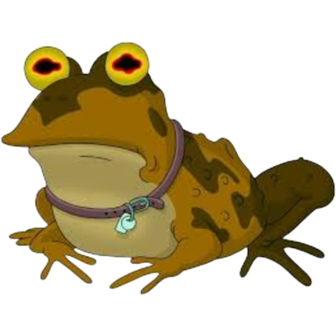 Neon desert toad 1